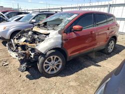 2019 Ford Escape SE for sale in Elgin, IL