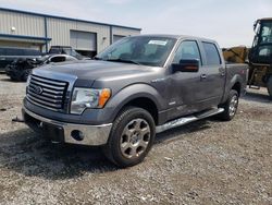 Ford f150 Supercrew Vehiculos salvage en venta: 2012 Ford F150 Supercrew