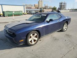 Dodge Challenger Vehiculos salvage en venta: 2014 Dodge Challenger SXT