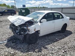 Toyota Corolla salvage cars for sale: 2006 Toyota Corolla CE