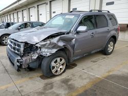 2008 Ford Escape Limited for sale in Louisville, KY