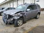 2008 Ford Escape Limited