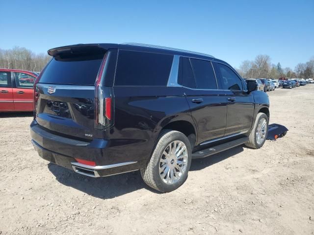 2021 Cadillac Escalade Premium Luxury