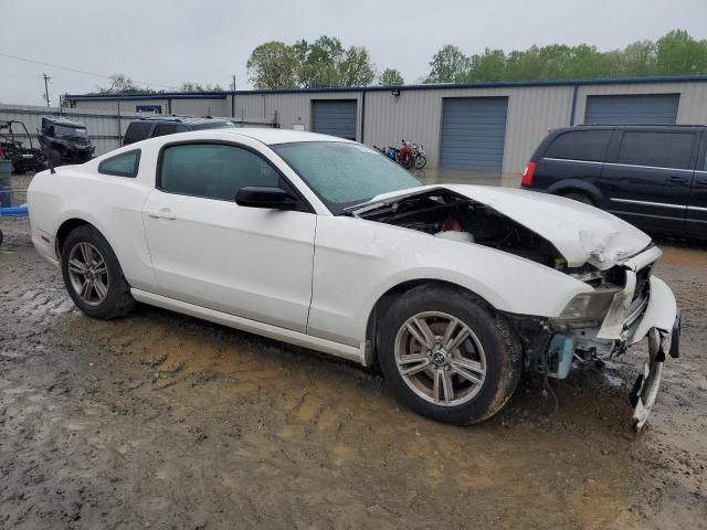 2013 Ford Mustang