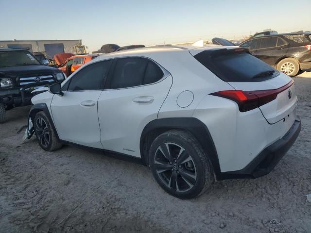 2020 Lexus UX 250H