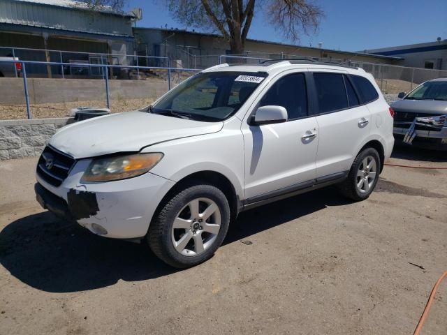 2009 Hyundai Santa FE SE