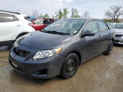 Toyota Corolla salvage cars for sale: 2010 Toyota Corolla Base