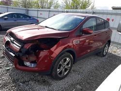 2016 Ford Escape SE for sale in Walton, KY