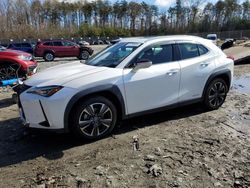 Lexus UX 250H salvage cars for sale: 2020 Lexus UX 250H