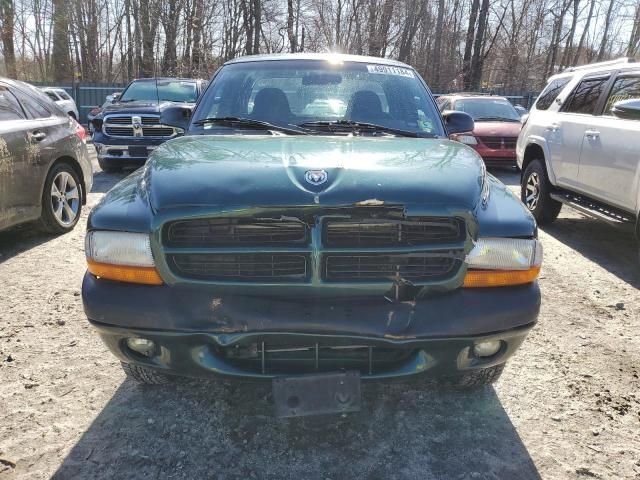 2000 Dodge Dakota