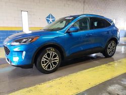 2020 Ford Escape SEL for sale in Indianapolis, IN