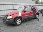 2003 Ford Escape XLT