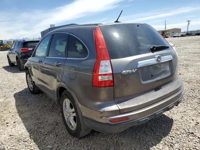 2010 Honda CR-V EXL