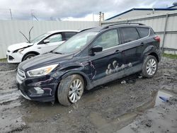 Vehiculos salvage en venta de Copart Albany, NY: 2019 Ford Escape SEL