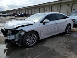 Toyota Avalon salvage cars for sale: 2019 Toyota Avalon XLE