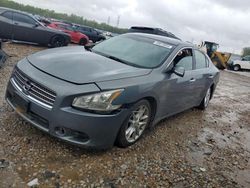 Salvage cars for sale from Copart Memphis, TN: 2010 Nissan Maxima S