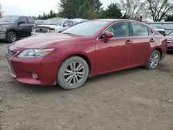 Lexus Vehiculos salvage en venta: 2015 Lexus ES 350