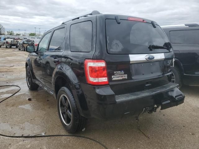 2010 Ford Escape Limited