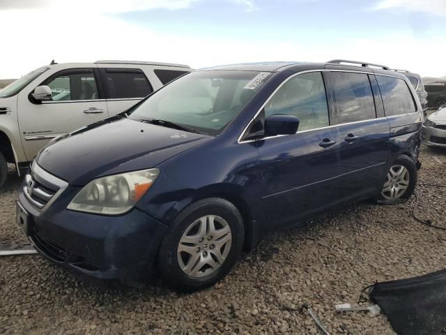 2005 Honda Odyssey EXL