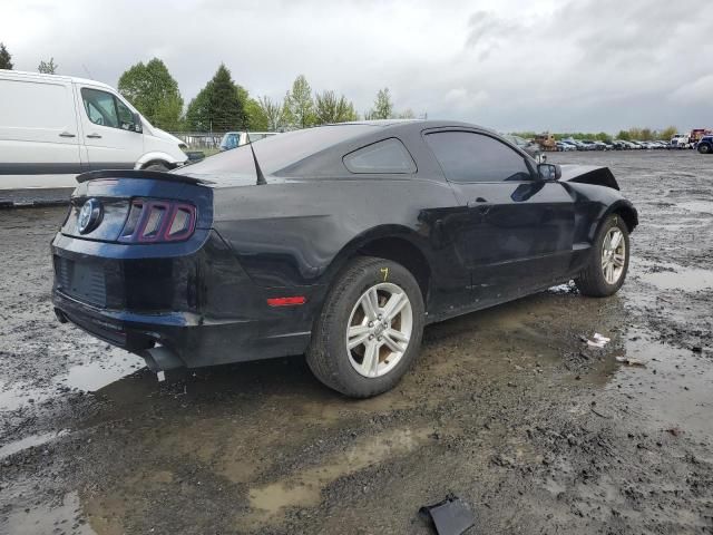 2013 Ford Mustang