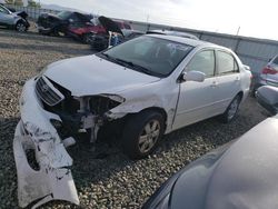 Salvage cars for sale from Copart Reno, NV: 2007 Toyota Corolla CE