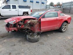 Salvage cars for sale from Copart Albuquerque, NM: 2010 Ford Mustang GT