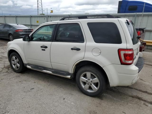 2009 Ford Escape XLT