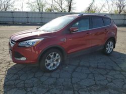 Ford Escape Titanium Vehiculos salvage en venta: 2014 Ford Escape Titanium