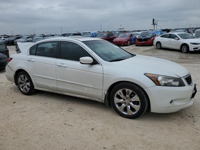 2010 Honda Accord EXL