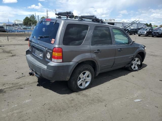 2006 Ford Escape HEV