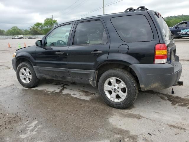 2006 Ford Escape XLT