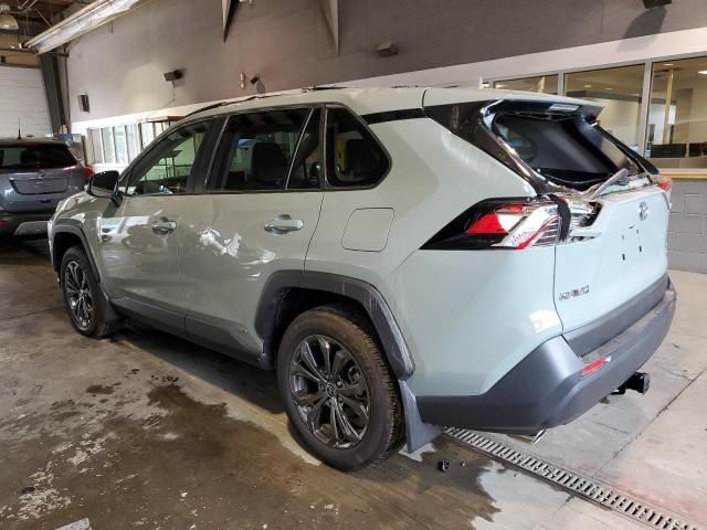 2023 Toyota Rav4 XLE Premium