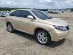 2010 Lexus RX 450