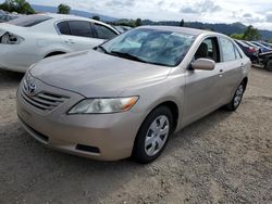 2009 Toyota Camry Base en venta en San Martin, CA