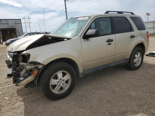 2010 Ford Escape XLT