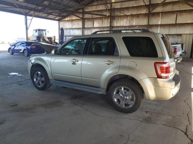 2010 Ford Escape Limited