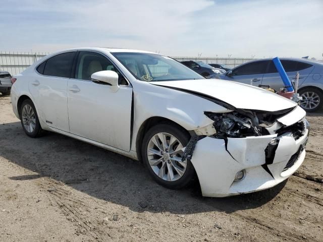 2014 Lexus ES 300H