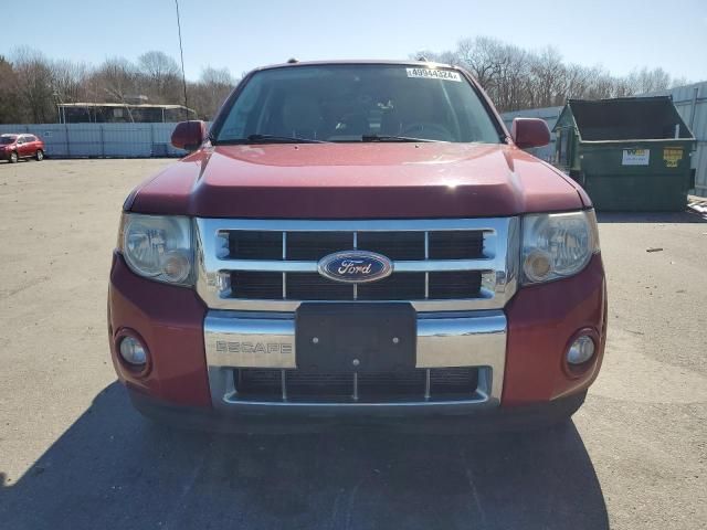 2011 Ford Escape Limited