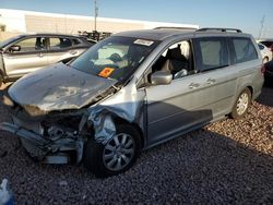 2010 Honda Odyssey EXL en venta en Phoenix, AZ