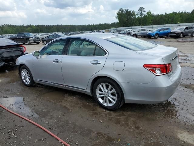 2010 Lexus ES 350