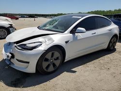 Vehiculos salvage en venta de Copart Spartanburg, SC: 2021 Tesla Model 3