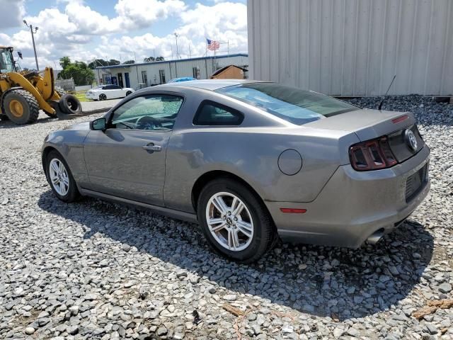 2013 Ford Mustang