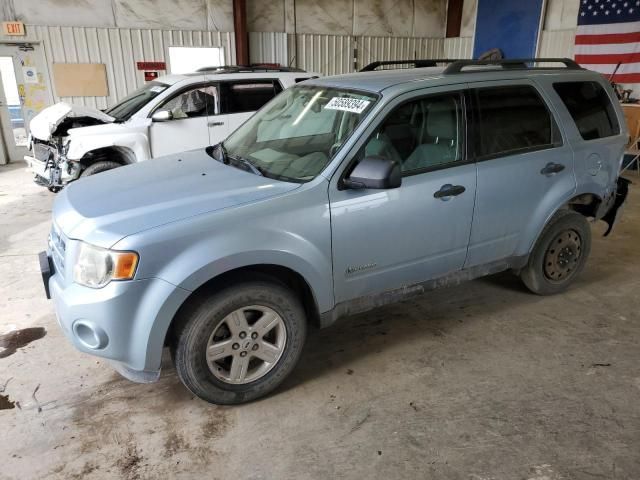 2009 Ford Escape Hybrid