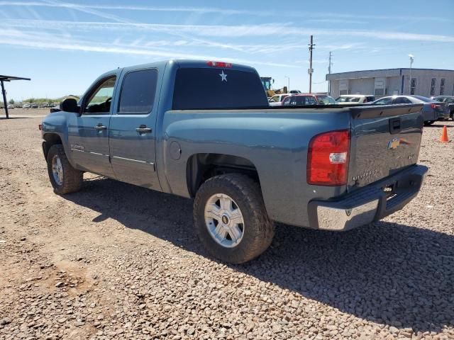 2010 Chevrolet Silverado C1500  LS