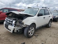 Ford Vehiculos salvage en venta: 2010 Ford Escape XLT