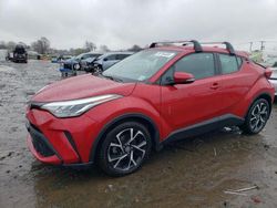 Toyota C-HR salvage cars for sale: 2021 Toyota C-HR XLE