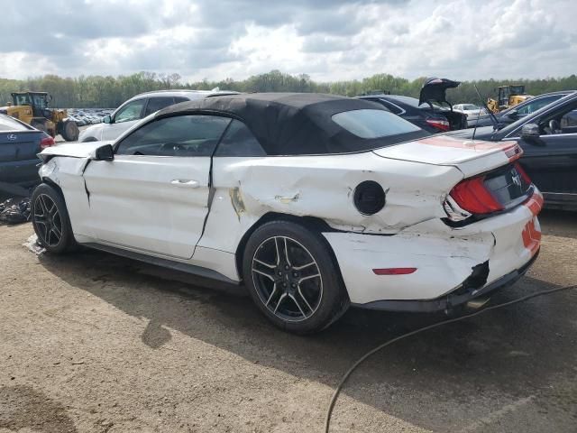 2019 Ford Mustang