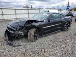 Ford salvage cars for sale: 2019 Ford Mustang GT