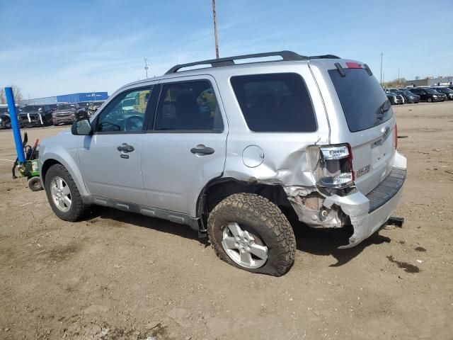 2011 Ford Escape XLT