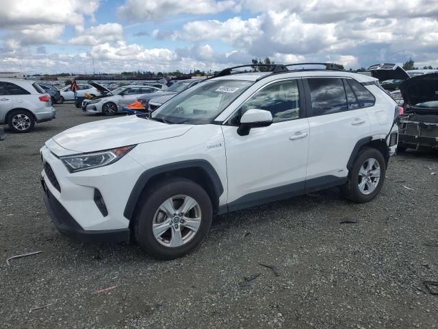 2021 Toyota Rav4 XLE